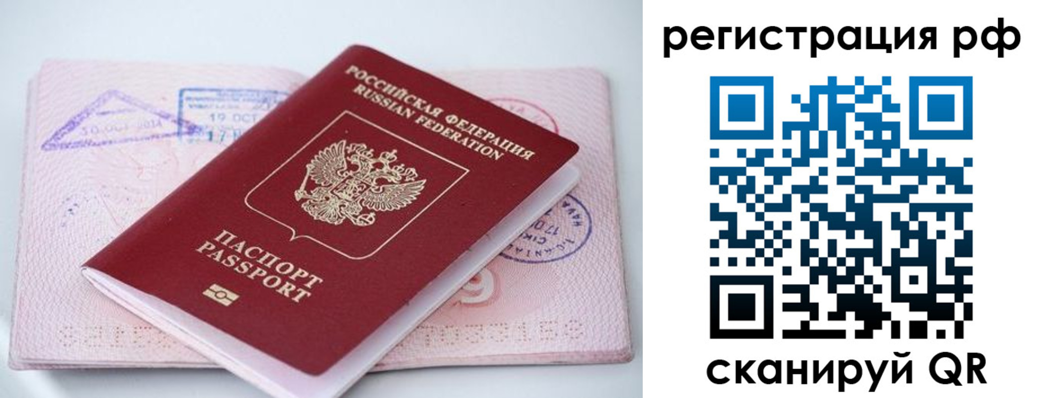 прописка штамп в Долгопрудном
